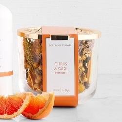 Home Fragrance Citrus &amp; Sage Collection
