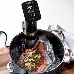 Anova Precision® Pro Sous Vide Cooker with Wi-Fi