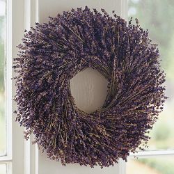 Lavender Live Wreath, 14"