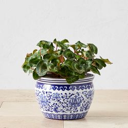 Chinoiserie Ceramic Planter, Small