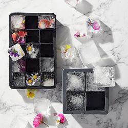 Williams Sonoma Perfect Cube Tray with Lid, Set of 2