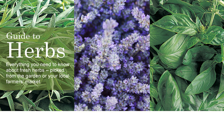 Guide to Herbs