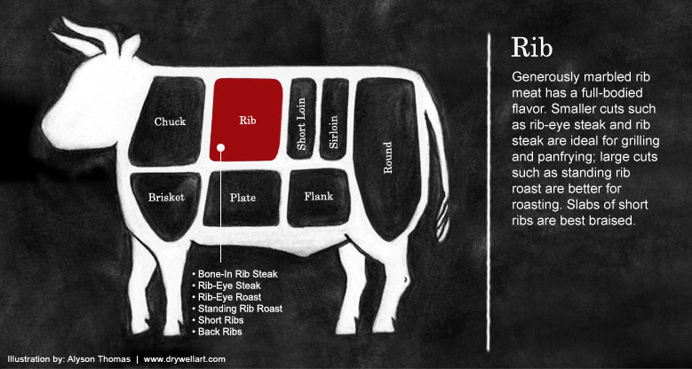 Rib