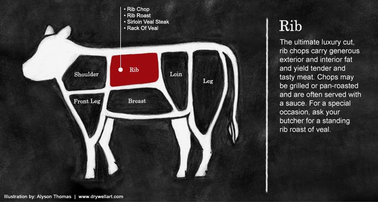 Rib