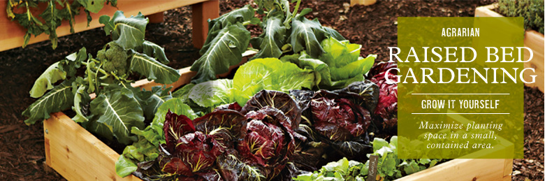 Raised Bed Gardening