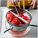 Food Mill, Food Processor or Blender