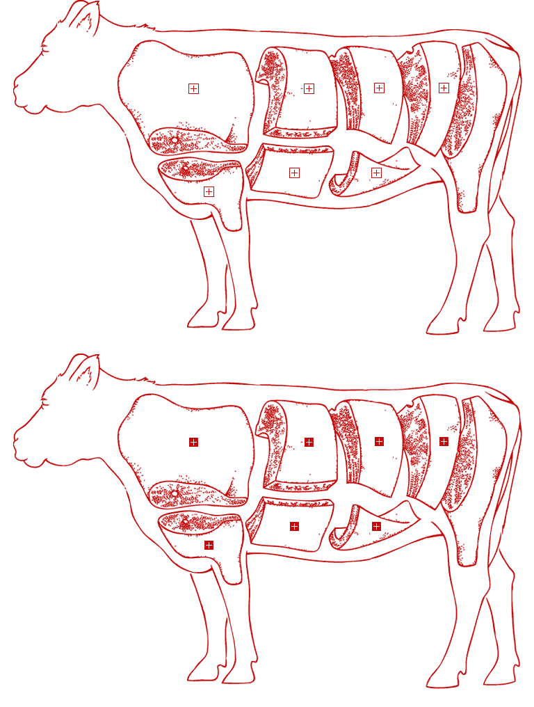 Beef