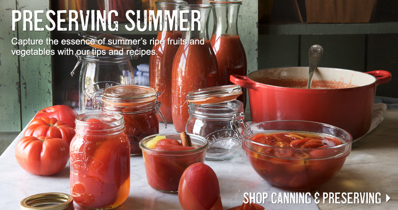 Preserving Summer