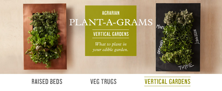 Vertical Gardens