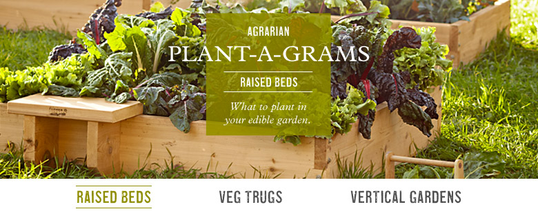 Raised Beds